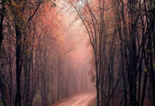 申花主场大战胜负，耶拉维奇致胜夺下三分