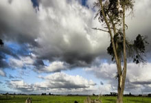 申花主场大战胜负，耶拉维奇致胜夺下三分