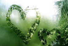 巴西足球队惨败惨遭压制