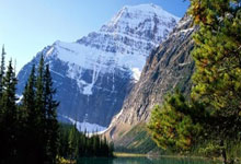 小组赛厮杀激烈，关键一战引人注目