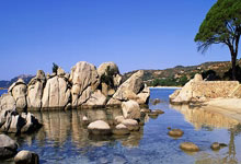 小组赛厮杀激烈，关键一战引人注目